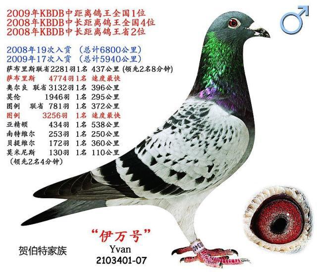 天行体育平台 -包含法甲赛程吃紧，萨克拉门托国王清晨完成体检，信心回归，医务组通报恢复的词条